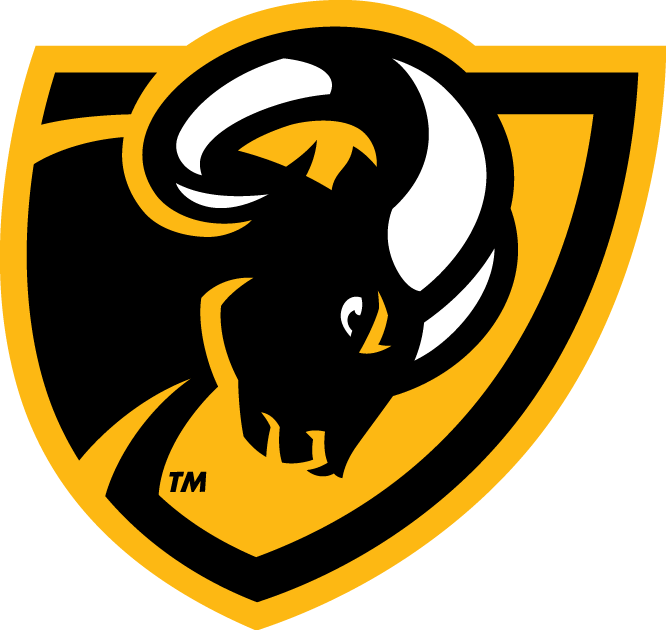 Virginia Commonwealth Rams 2014-Pres Secondary Logo t shirts DIY iron ons